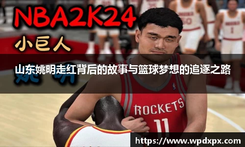 山东姚明走红背后的故事与篮球梦想的追逐之路