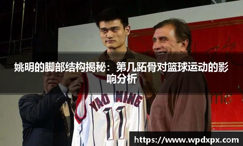 姚明的脚部结构揭秘：第几跖骨对篮球运动的影响分析