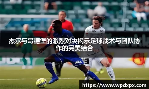 伟德bv国际体育